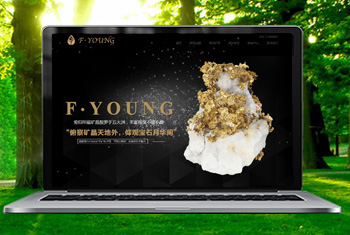 ��ɿڸ������ﱦʯ